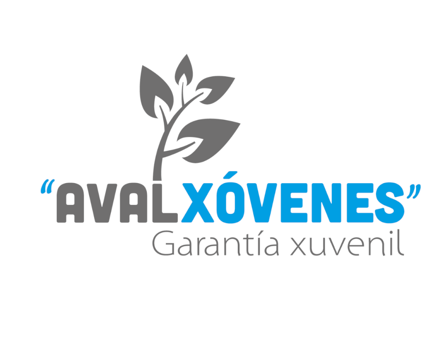 AvalXóvenes (Convocatoria VP/2012/012)